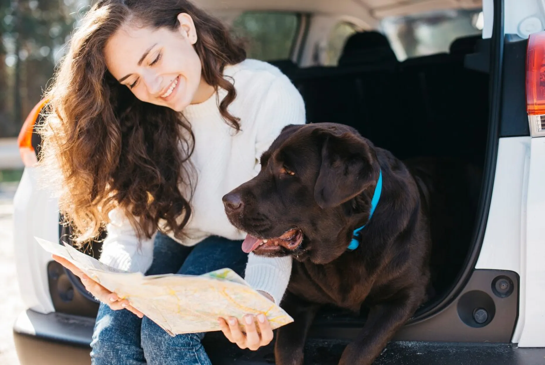 Pet Relocation