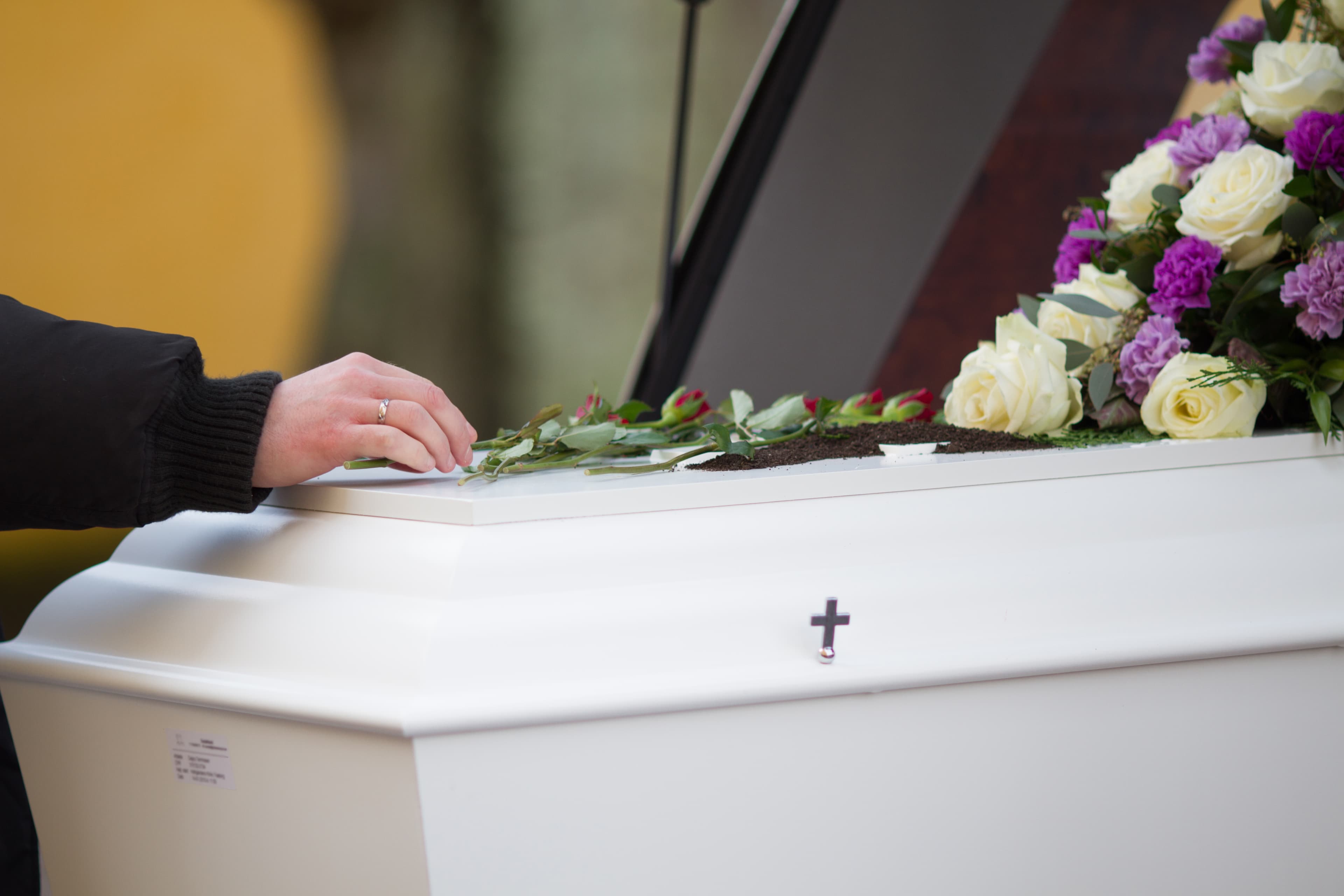 TEMPERATURE-CONTROLLED COFFINS